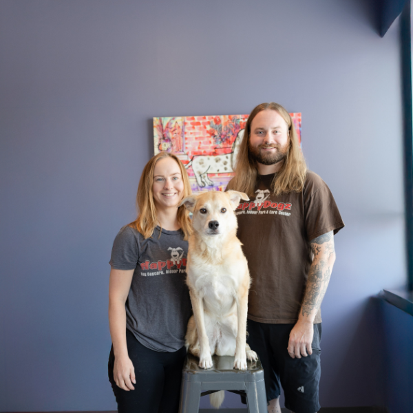 <b>Happy Dogz Daycare</b><br>
As one of Madison’s first dog daycares, Happy Dogz is led by canine behavior and training pros.